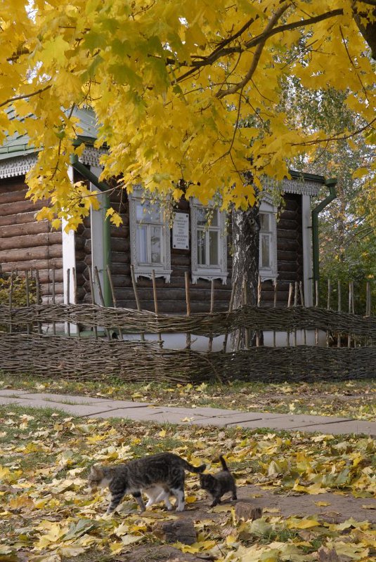 Музей-заповедник С. А. Есенина